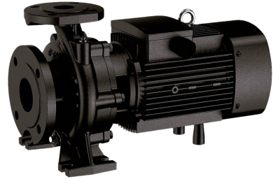 NBW L 100-80-XX-X/2-380-G (2 полюса двигателя, рабочее колесо - чугун)